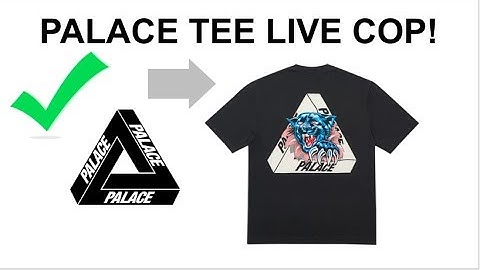 Palace Tee Live Cop! | EVE AIO