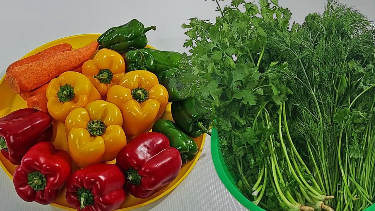 فرزى خضره المحشى لمده سنه❗️ بنفس اللون  والريحه والطعم طريقه ناجحه جدا👌👌👌 كتير دلوقتى ورخيصه