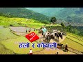 असारे गीत  हलो र कोदाली /Halo ra kodali Ashare git by Durga Rayamajhi