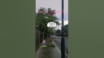 تلاوة مميزة عطرة ماتيسر من سورة طه يتلوها الشيخ سعود الشريم