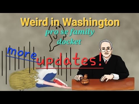 Weird in Washington Pro Se Family Docket continues YouTube Weird in Washington Pro Se Family Docket continues YouTube