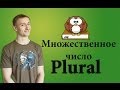 Множественное число существительных. PLURAL