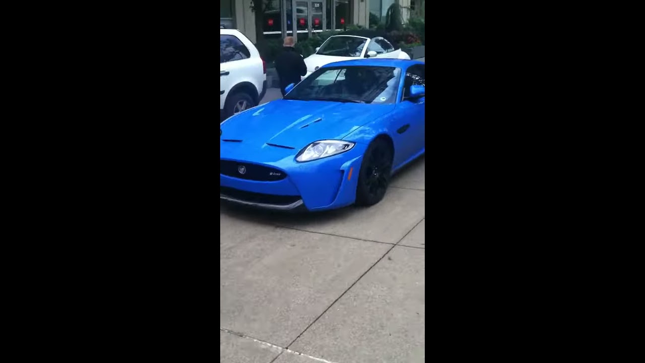 Baby Blue Beauty