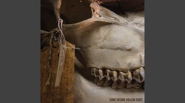 Construction and Validation of a Conceptual Model of Predicting Individual Choices of...