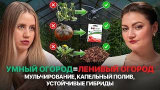 ОГОРОД БЕЗ ПРОПОЛКИ И ФИТОФТОРЫ? Правда о «ленивом огороде» и главных ошибках дачников // ЧАСТЬ 1