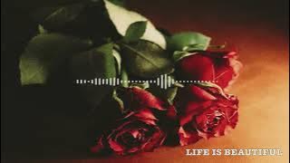 TASHIA - LIFE IS BEAUTIFUL  (Official Audio Video）