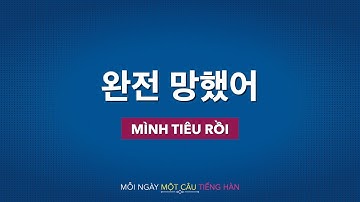 Học tiếng Hàn 2022 | MỖI NGÀY MỘT CÂU TIẾNG HÀN [완전 망했어]