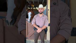 Meet Deputy Daniel Egues of our Mounted Patrol Unit! 🤠