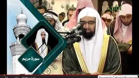 الشيخ ناصر القطامي تلاوه خاشعه  وقالوا اتخذ الرحمن ولدا