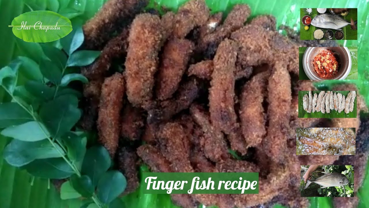 Finger fish recipe Finger fish fry finger fish recipe in tamil YouTube