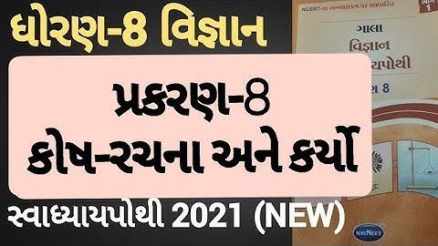 Dhoran 8 vigyan chapter 8 swadhyay pothi | Std 8 science chapter 8 swadhyay pothi solution