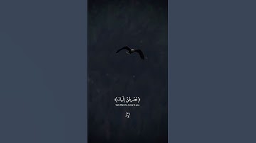 وإذ قَالَ إبراهيمُ ربِ أرنِي كيفَ تُحيي المَوتى | القارئ عبدالله أحمد شعبان #تلاوة_هادئة #ارح_قلبك