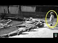 The 5 Years Old Baby Was Left With 12 Crocodiles But What They Did Was Amazing