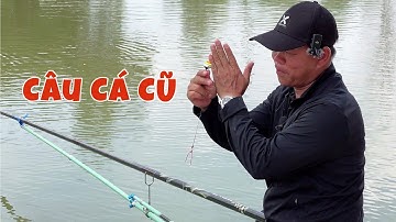 Câu Cá Trắm Đen Cũ Mà Ăn Lạ Lắm