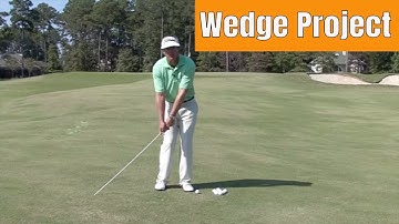 The Wedge Project (Sample)