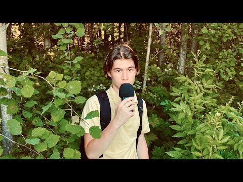 АСМР НА ПРИРОДЕ