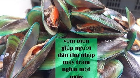 vẹm biển. Đặc sản biển quỳnh. giúp người dân có thu nhập .Thơm nhà nông