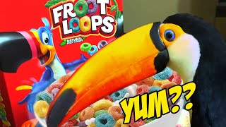 Real Toucan Tries Froot Loops for the First Time!!