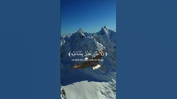 وما من دآبة فى الأرض 🌿|| القارئ محمد صديق المنشاوي💙🌿