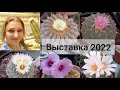 Выставка Кактусов🌵Клуба 2022 #выставкакактусов#грециявыставка