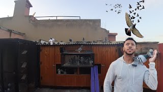 زيارة عندDIDO بطل الحمام الزاجل لسنة2019 pigeon de cours