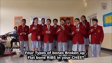 The Bone Song - Skeletal System ( Seth Anandram Jaipuria School , Lucknow )