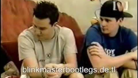 Blink 182-big day out interview