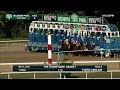 Breeders' Cup Juvenile (GI) - Race Replays Thumbnail