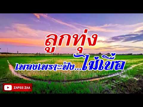 เพลงลูกทุ่งเพราะฟังสบายไม่เบื่อ
