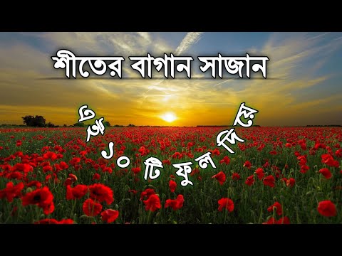 ভিডিও: শীত ও Winterষধি ফুলের বপন