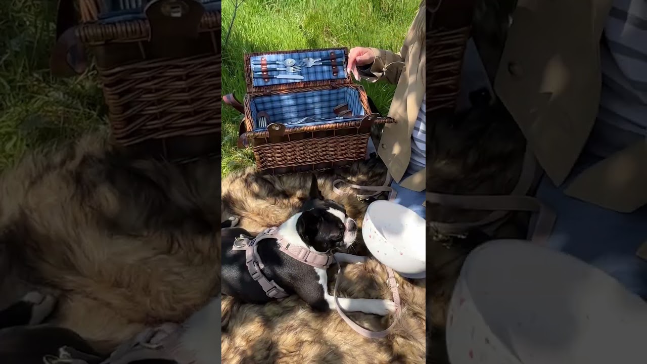 Time for a picnic ☀️