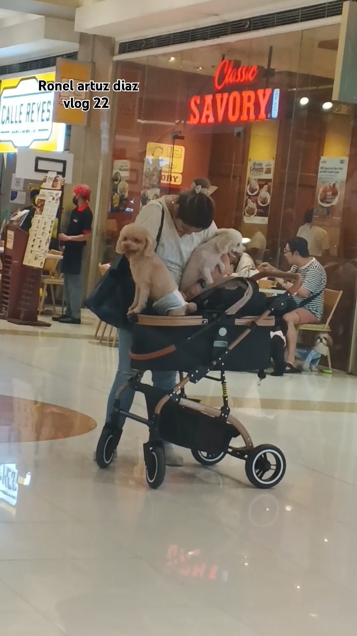 #travel #green #beautiful #dogs  #mall