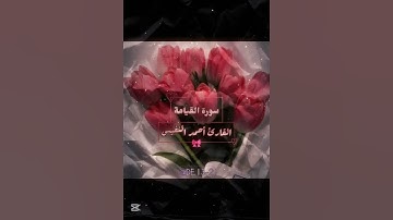 كلا إذا بلغت التراقي وقيل من راق|سورة القيامة | أحمد النفيس🌷#قرآن#اكسبلور #مالي_خلق_احط_هاشتاقا#لايك