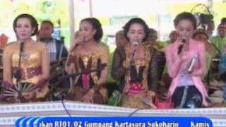 kartika raras cokek dangdut si kucing live plosorejo new putra sumber sound