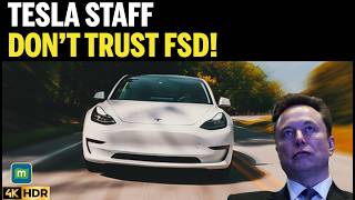 Tesla’s Own AI Trainers Don’t Trust Full Self-Driving | Shocking Claims Surface