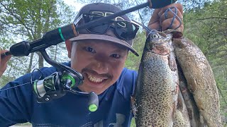 Trout fishing at NC Wilson Creek