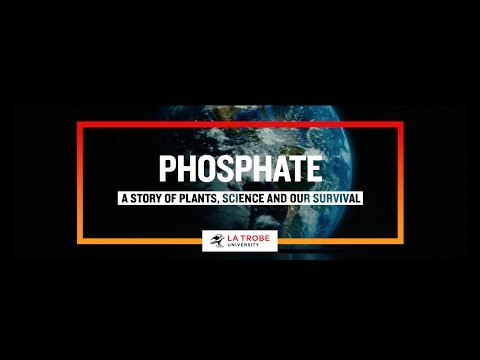 Video: Kam naudojamas fosfonio sulfatas?
