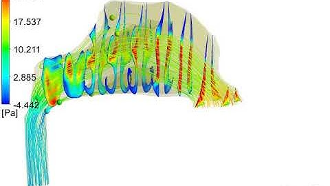 Airflow simulation #Human nose
