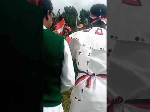 Oromoo Koo Sabaa Saboona Yeroo Kaamu Ofii Kora