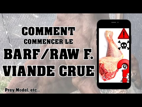 Les Os de poulet sont ils dangereux ?! Commencer le BARF ? Viande Crue ? (sub.titles MULTI)