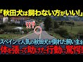 「秋田犬を飼うと他の犬では満足できない！」スペインの秋田犬の予想外の行動に世界中が驚愕！【海外の反応】