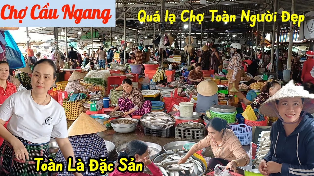 Kỳ Lạ : nếu không Xinh thì cũng Dễ Thương - Chợ Cầu Ngang - Trà Vinh, ngập tràn hải sản tươi ngon 