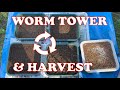 6000 Red Wiggler Worm Tower Rotation, Harvest & Feeding | Vermicompost Worm Farm