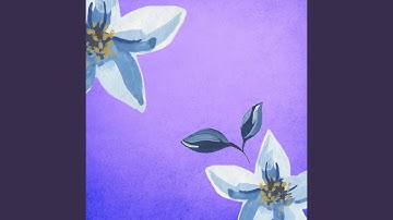 Mysterious Moods for Back to Illusions