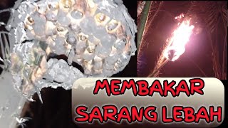 Pemusnahan Lebah Beracun