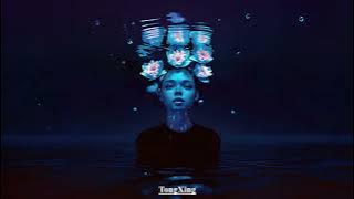 [ 我等到花儿也谢了_x_Deep_Inside ft 多情种 ft 好運來_x_My_Humps ft 探窗 x Miracle ]  [ ARS _ 2K24_ MIXX _ NONSTOP ]