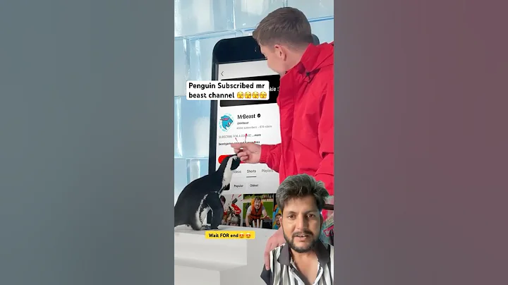 Can I Teach Penguin To Subscribe?#2025 #shorts #real Funny Comedy#shorts #ytshorts