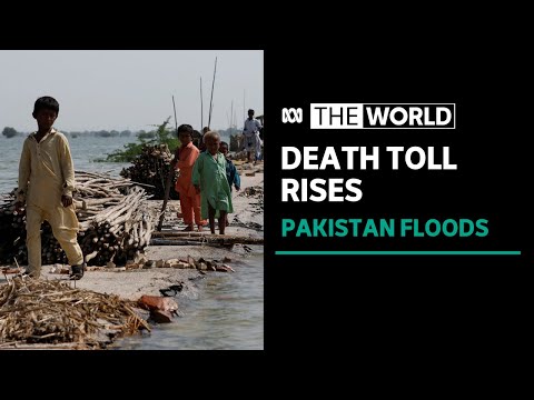 Death toll in devastating pakistan floods continues to rise | the world