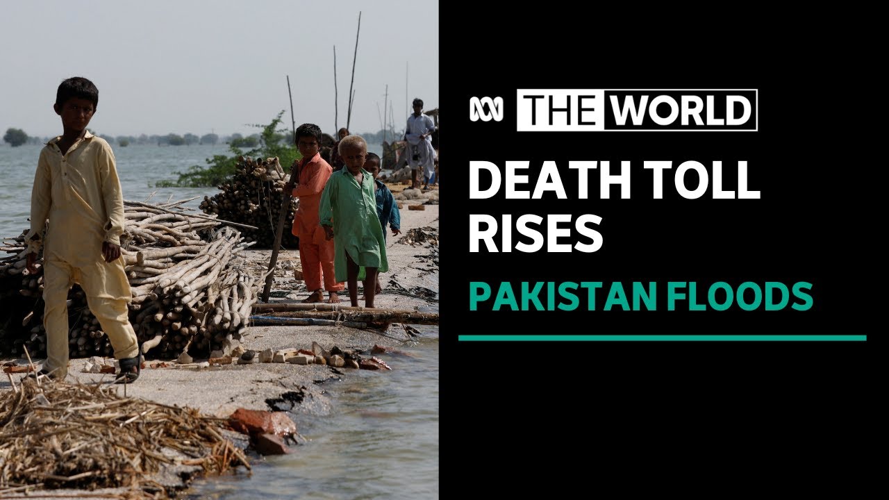 Death toll in devastating Pakistan floods continues to rise | The World ...