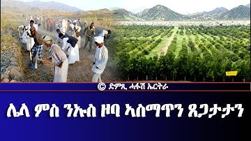 ሌላ ምስ ንኡስ ዞባ ኣስማጥን ጸጋታታን - Dimtsi Hafash Eritrea/ድምጺ ሓፋሽ ኤርትራ